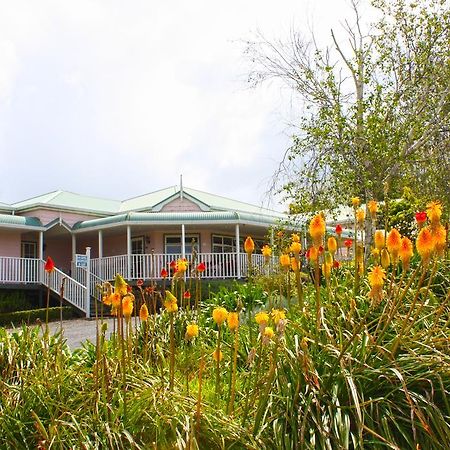 Bed and Breakfast Matakohe House Exterior foto